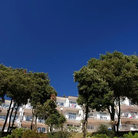 Pribjeći Splendid 3*